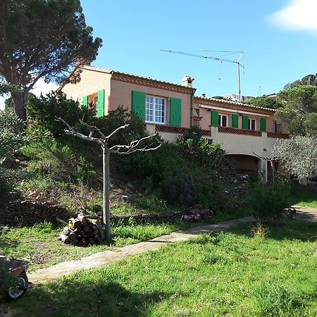 Villa Superbe Vue Sur Mer Et Sur La Montagne Jardin Terrasses Banyuls-sur-Mer Exterior photo