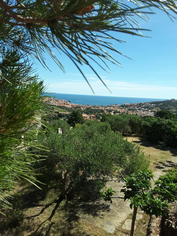 Villa Superbe Vue Sur Mer Et Sur La Montagne Jardin Terrasses Banyuls-sur-Mer Exterior photo